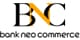 BSI Express logo